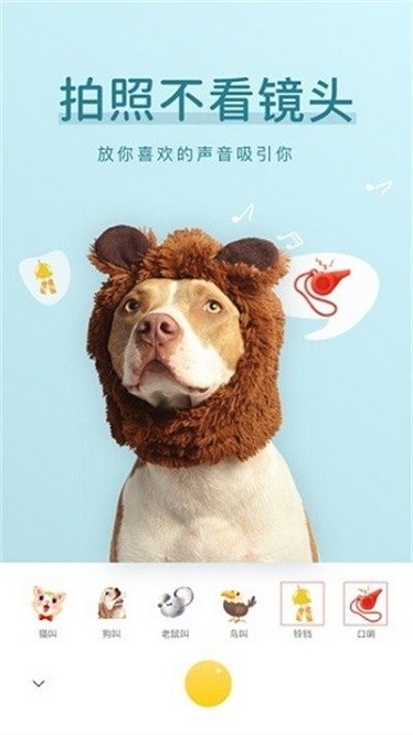 萌仔相机 3.0 安卓版 3