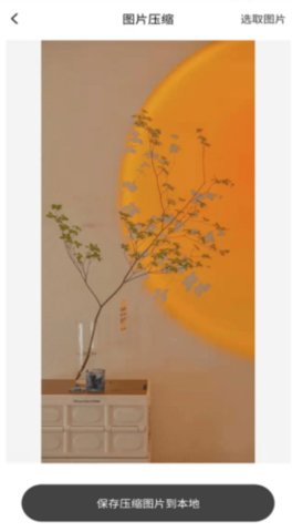 兔子 1.0.0 安卓版 1