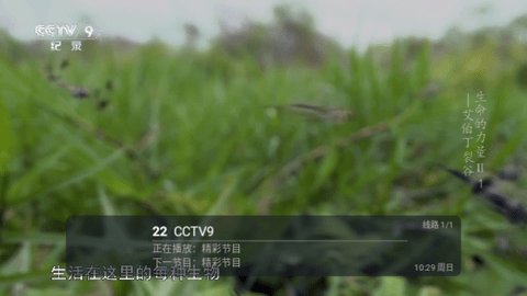 Live电视直播 6.3.3.9 安卓版 3