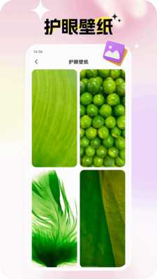 灵蝶壁纸 1.0.0 安卓版 3