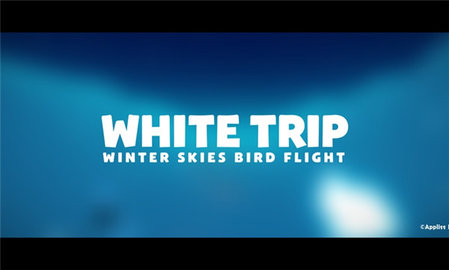 白翼之旅 2.0 安卓版 3