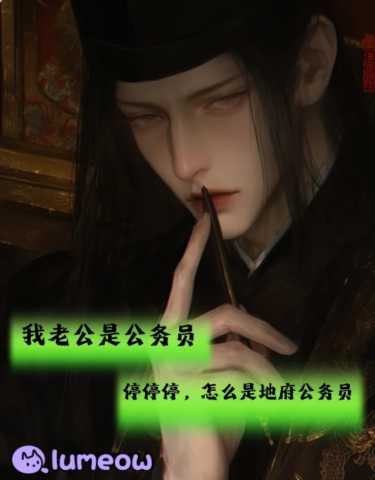 lumeow 1.0.0 安卓版 2