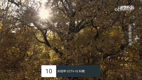 星火直播 1.0.18 安卓版 3