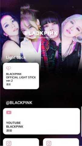 BLACKPINKLIGHTSTICKv2 3.2.1 安卓版 2
