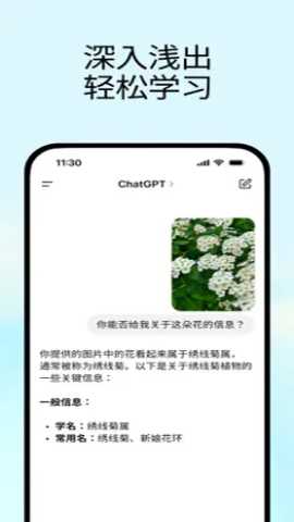 chatGPT 1.2026.013 安卓版 1