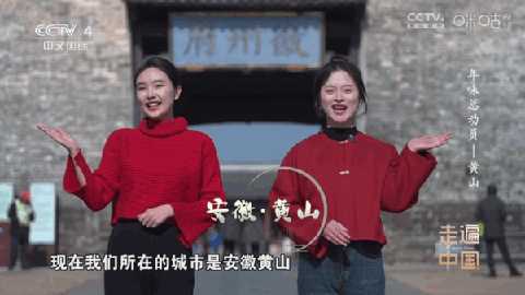 悠悠电视TV版 1.0.3 最新版 3