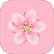 桃花视频播放器