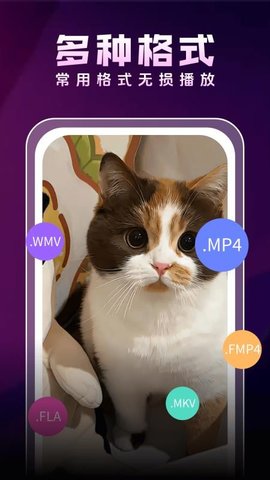 影片视频播放器 1.1.1 安卓版 3