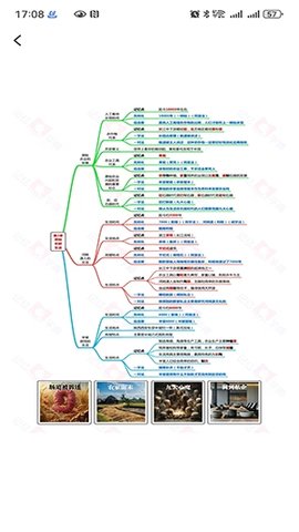记忆字典 1.5.2 安卓版 2