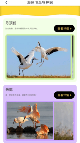 鸟语星球 0.1.0.2 安卓版 2