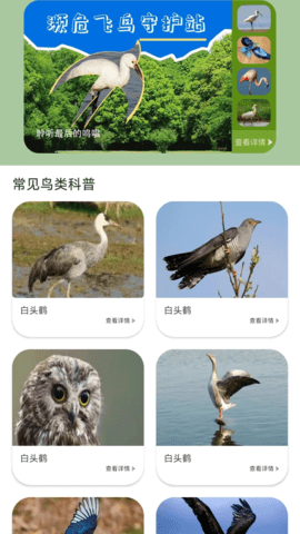 鸟语星球 0.1.0.2 安卓版 3