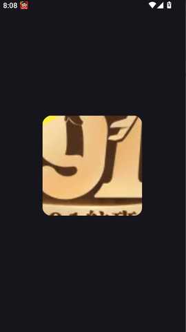 91航班  最新版 2