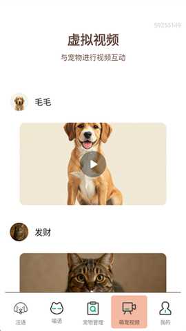 猫狗翻译全能王