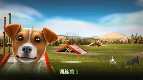 我的寄宿狗屋 2.1.10 安卓版 3