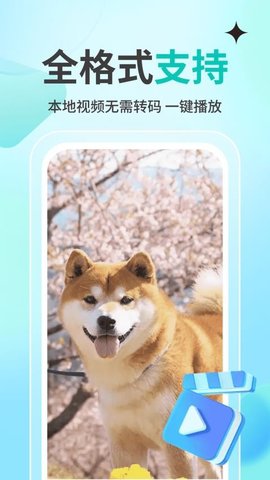 私人观影播放器player 1.1.4 安卓版 1