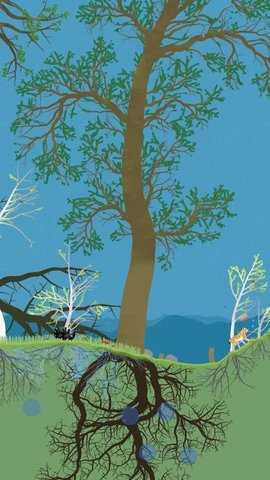 小松林 1.0 安卓版 1