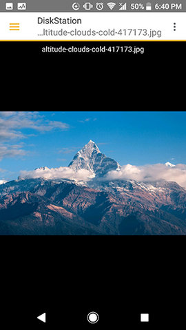 DS file 4.17.2 安卓版 2