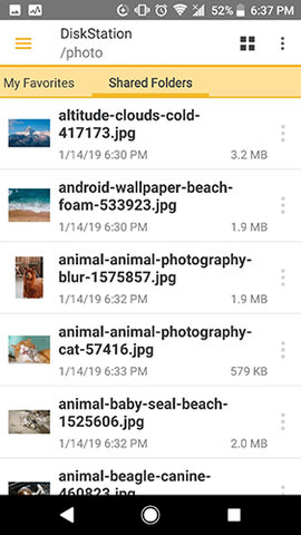 DS file 4.17.2 安卓版 1