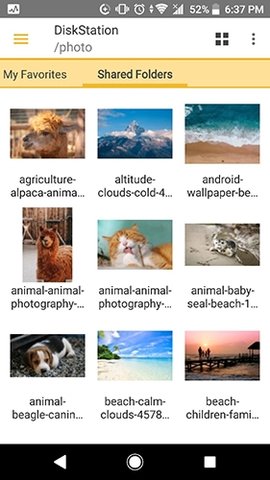 DS file 4.17.2 安卓版 3