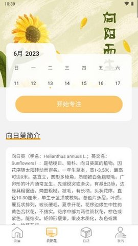 向阳流量 2.0.1 安卓版 1