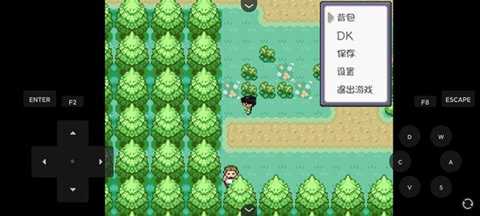 口袋妖怪燃之智 1.0 安卓版 2