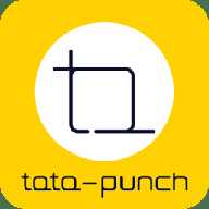 TataPunch智能
