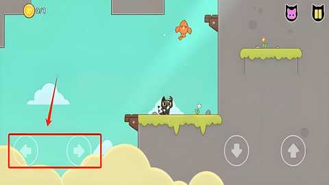 抓鸟的猫最新版