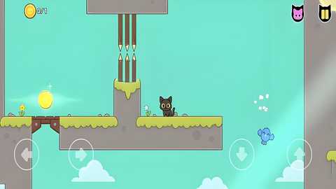 抓鸟的猫最新版