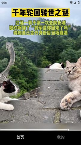 千千短剧 1.12.0 安卓版 2