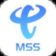 中国电信mss移动门户