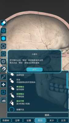 人体解剖学图集 2025.09.09 安卓版 1