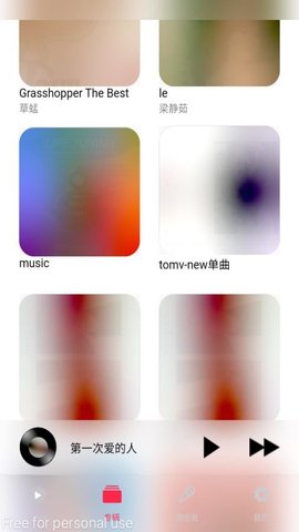 DS Music+ 5.1 安卓版 2