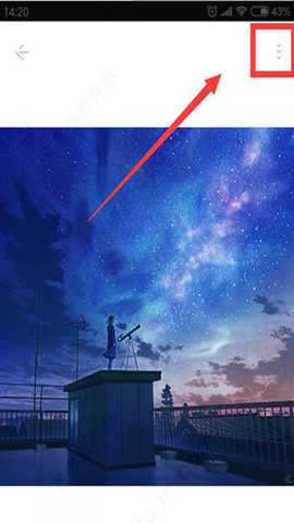 1764148913941631.jpg 7.jpg