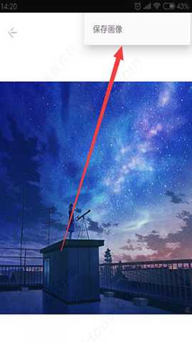 1764148919165718.jpg 8.jpg