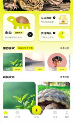 龟先生 1.0.0 最新版 2