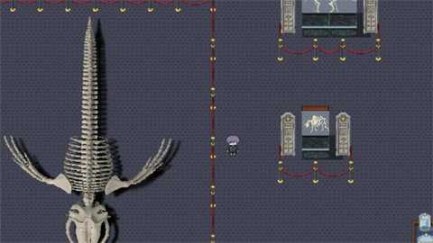 白夜博物馆 1.20.611 安卓版 3