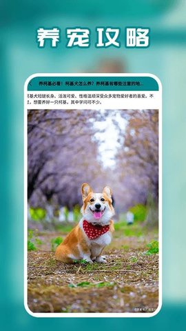 狗语 1.4 安卓版 3