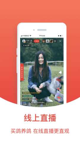 搜鸽天下 2.2.2.4 安卓版 2