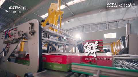 冰茶订阅专用 Py1.7.4.1_节目列表已加宽增加视频播放倍速功能美化版 安卓版 1