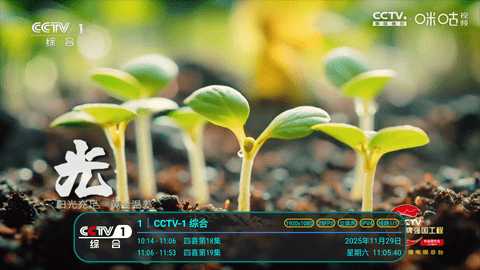 冰茶订阅专用 Py1.7.4.1_节目列表已加宽增加视频播放倍速功能美化版 安卓版 2