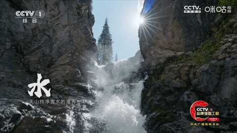 冰茶订阅专用 Py1.7.4.1_节目列表已加宽增加视频播放倍速功能美化版 安卓版 3