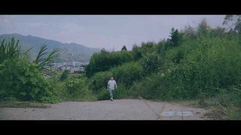 小宋TV D 安卓版 2