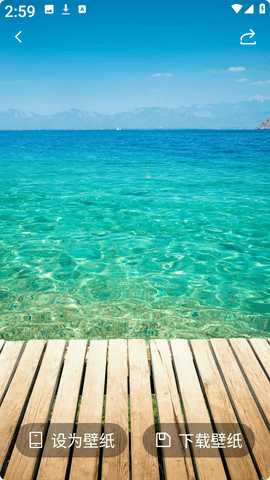 星狐壁纸 1.1 安卓版 1