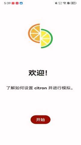 柠檬模拟器 4491abc 安卓版 1
