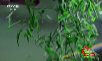 海洋电视Tv版 1.1.3 安卓版 2