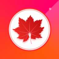 红叶直播软件下载-红叶直播最新版