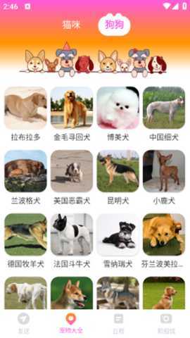 智能换机助手 1.0.0 安卓版 4