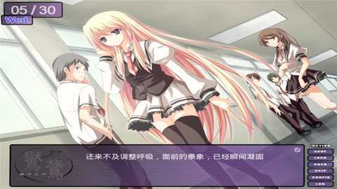 鸑鷟镜花水月 1.0.4 安卓版 1