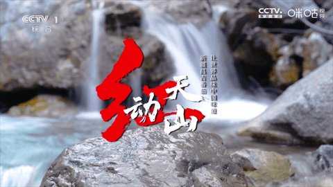 冰茶订阅专用TV版 Py1.7.4.1_节目列表已加宽增加视频播放倍速功能美化版 安卓版 1