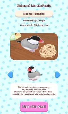 文鸟物语 1.1.1 安卓版 4